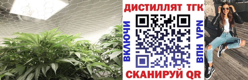 ТГК жижа наркотики Волосово