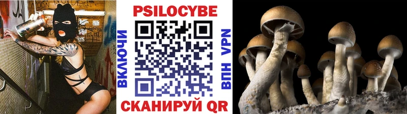 Галлюциногенные грибы ЛСД Волосово